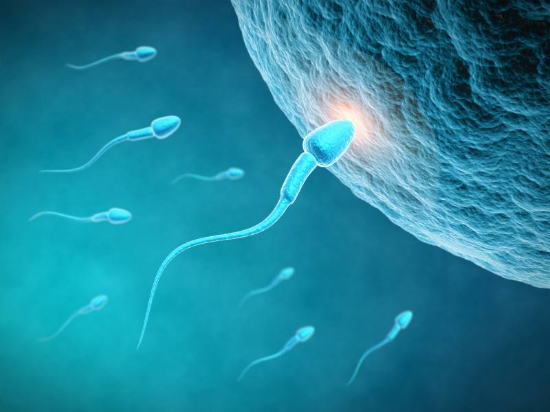 واریکوسل و کاهش اسپرم